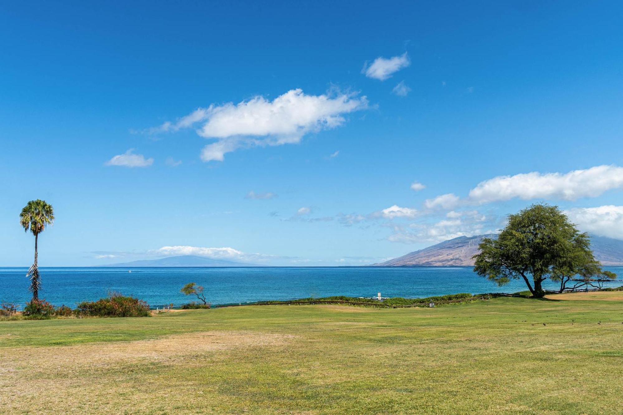Maui Kamaole H-101 Appartement Wailea  Buitenkant foto