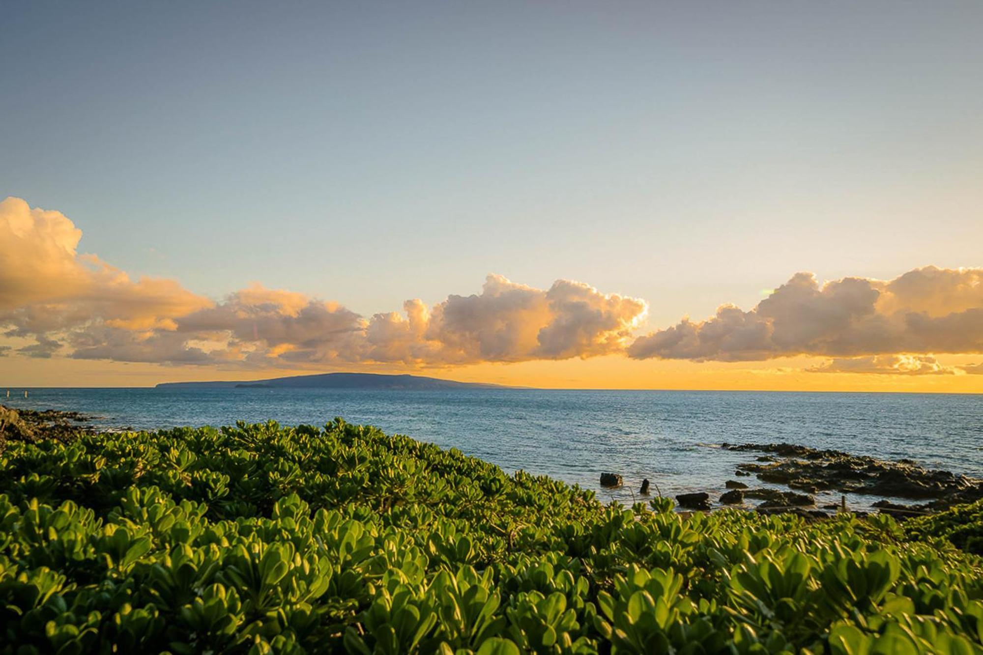 Maui Kamaole H-101 Appartement Wailea  Buitenkant foto